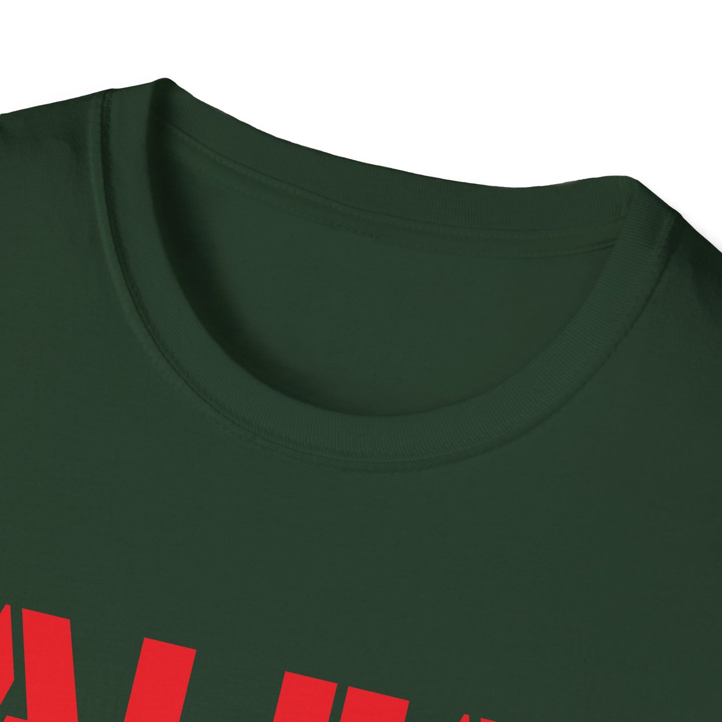 CAMISETA HOMBRE ALFA "TEXTSARAI FRONT" (EUROPA).